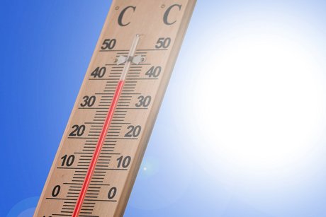 Thermometer 