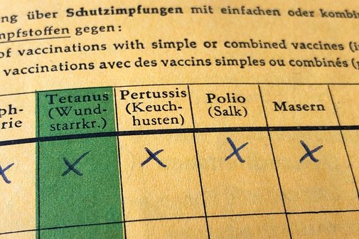 Ein Ausschnitt eines Impfausweises mit Rubriken f&uuml;r bestimmte Impfungen wie Masern oder Polio