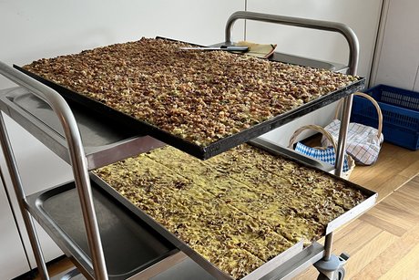 Speck und Zwiebelkuchen