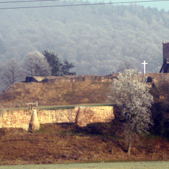 Burgruine Wartenberg