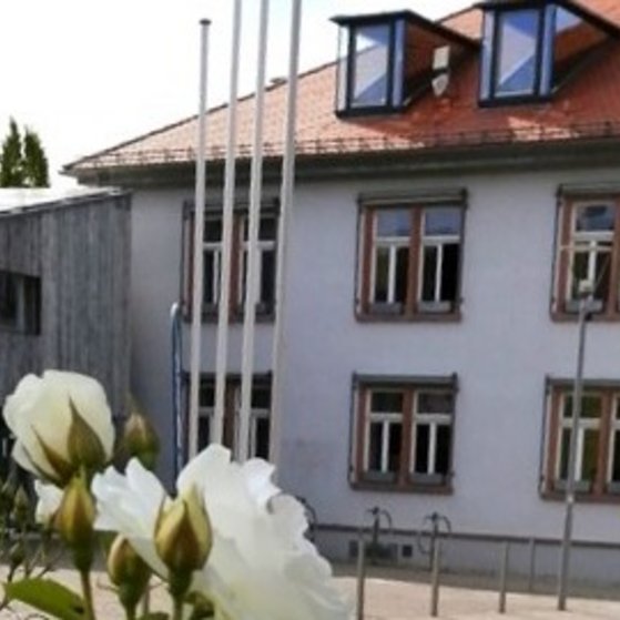 Rathaus OT Alsbach mit weißen Rosen im Fordergrund
