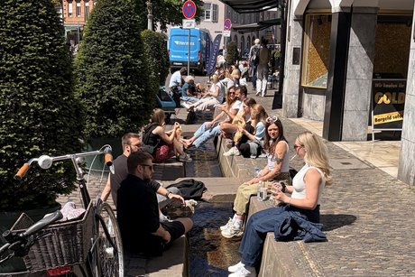 sonniges Freiburg