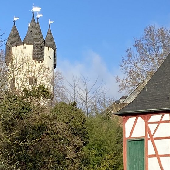 Steinheimer Schloß