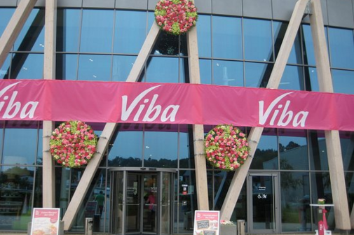 Viba Nougatwelt Viba Nougatwelt