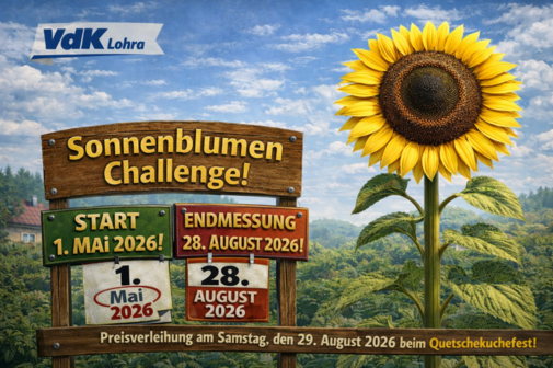 Mitmach-Sonnenblumen-Challenge