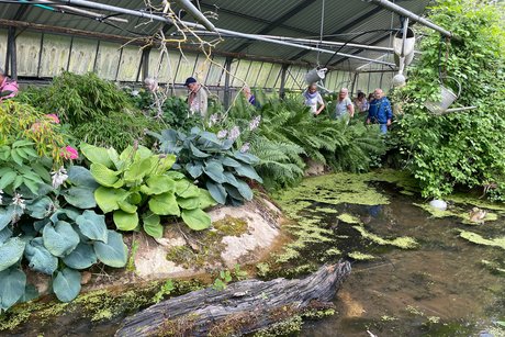 Gewächshaus im Hortensienpark Erbsmühle