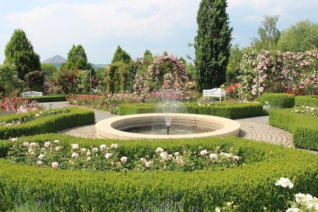 Europa-Rosarium