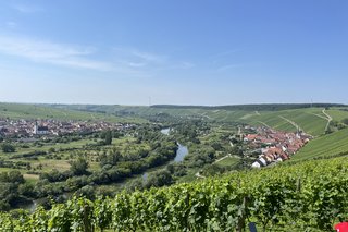 Ausblick von der Vogelsburg auf Nordheim und Escherndorf