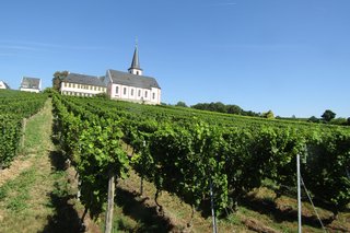 Blick vom Weinberg hinauf auf die Kirche St. Peter und Paul