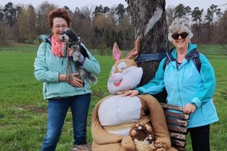 Der Osterhase am Weg samt weiteren Hasen 2