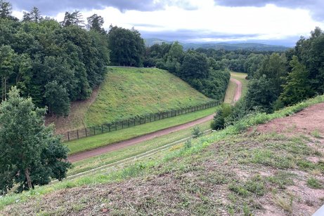 Erhaltene Grenzanlagen im Schifflersgrund
