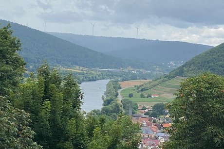 Blick vom Kloster ins Tal