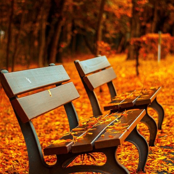 Farbenfrohe Herbstzeit ....