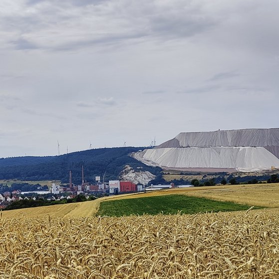 Heringen