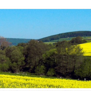 Blick auf die Gemeinde Weimar