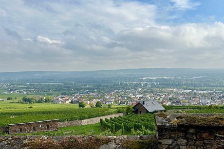 R&uuml;desheim