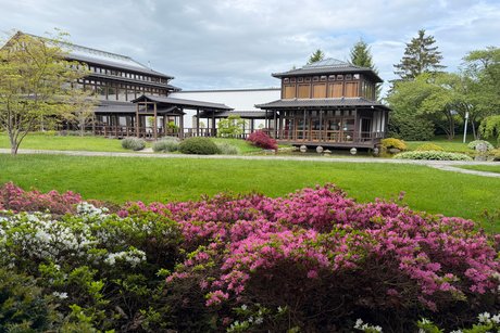 Japanischer Garten in Bad Langensalza