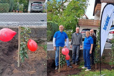 Baumpflanz-Challenge 2025, im Garten der Grundschule Wenings wurde ein S&auml;ulen-Apfel "Red River" gepflanzt.