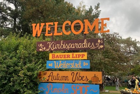 Herbstfahrt Adler 2025 2 Besuch in der Kürbisausstellung auf dem Hof Lipp in Weiterstadt