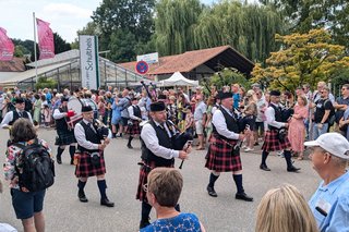 Rosencorso zum Steinfurther Rosenfest.