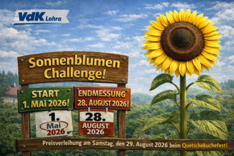 Mitmach-Sonnenblumen-Challenge