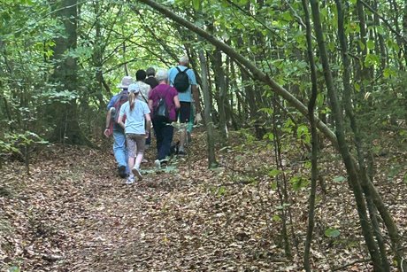 Aufbruch zur Wanderung durch den Wald
