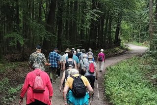 Wanderung durch den Wald