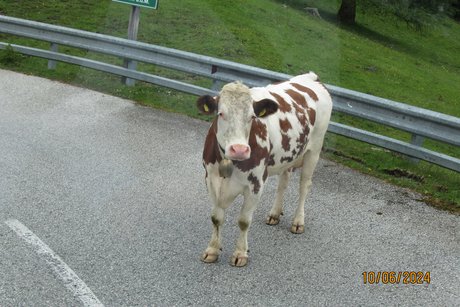 Mehrtagesfahrt Kärnten 3