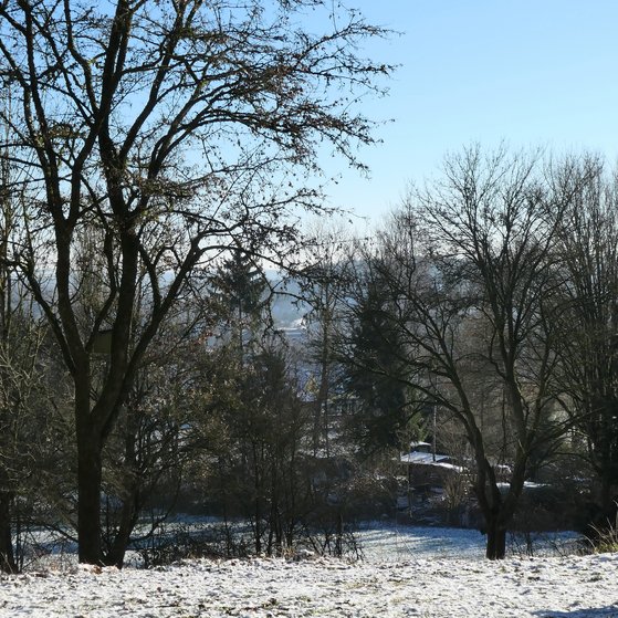 Aussicht aus dem Torbogen einer Waldkapelle auf eine Winterlandschaft mit leichtem Schneefall