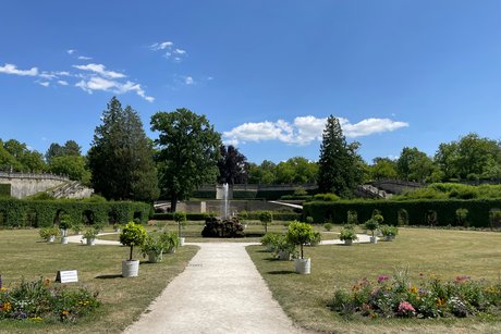 Rosengarten der Würzburger Residenz