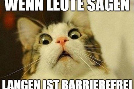 eine Katze