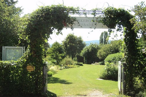 Apothekergarten