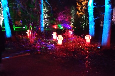 Kurpark