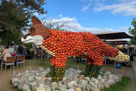 Herbstfahrt Adler 2025 5 Besuch in der Kürbisausstellung auf dem Hof Lipp in Weiterstadt