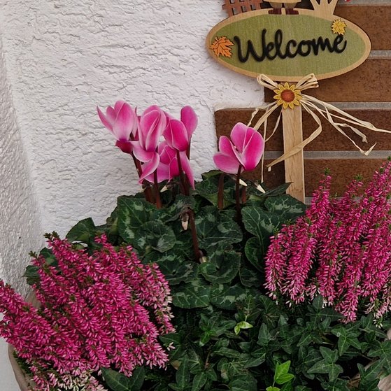 Erika k&uuml;ndigt den Herbst an