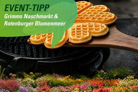 VdK pr&auml;sentiert sich im Schlosspark