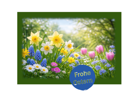 ein bild voller gelben narzissen, tulpen und anderen blumen