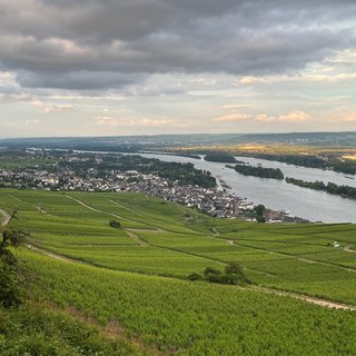 Rüdesheim am Rhein