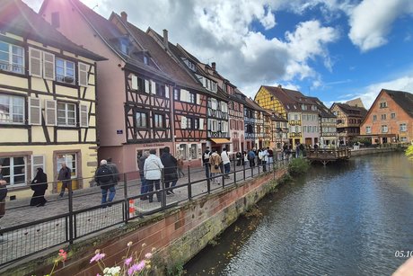 Colmar