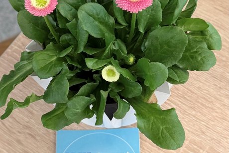 " Gutes tun tut gut!" Gutes tun tut gut