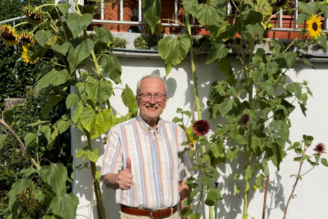 Sonnenblume Werner Sonnenblume Werner
