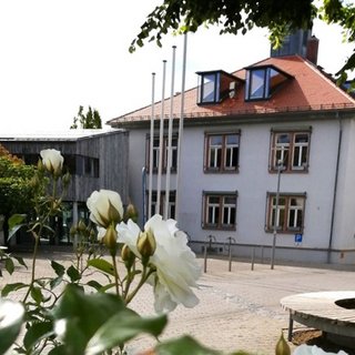 Rathaus OT Alsbach mit weißen Rosen im Fordergrund