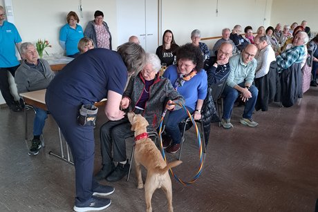Vorf&uuml;hrung der Hunde