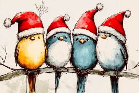 Freuen auf Weihnachten