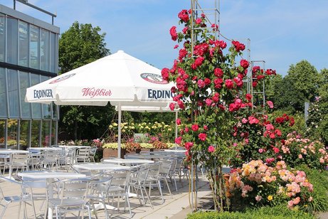 Im Bereich des Haupteingangs des Europa-Rosariums bietet unsere Parkgastronomie mit ihrer großen Sonnenterrasse während der Rosensaison ein vielfältiges Angebot an kulinarischen Genüssen in traumhaften Ambiente inmitten der Rosenpracht mit einem einmaligen Blick in den Säulengarten. Wir freuen uns auf Ihren Besuch.