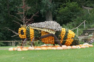 Eine riesige Bienenkönigin aus Kürbissen