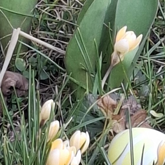 Frühling 2025