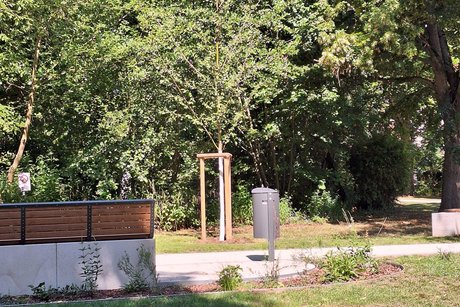 Die neu gepflanzte Weißerle in Bildmitte ist unser "VdK-Baum". Mitglieder des Ortsverbandes Urberach haben diesen Baum durch eine Sammlung finanziert und der Stadt zur Verfügung gestellt.