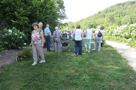 Beim Rundgang durch den Hortensienpark.