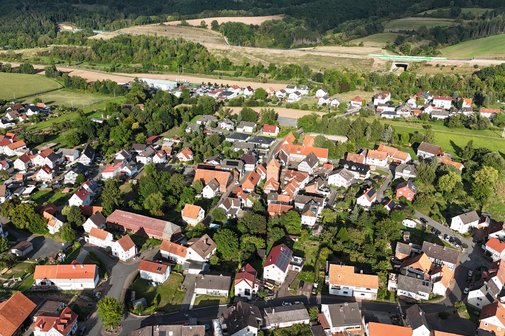 Hoheneiche